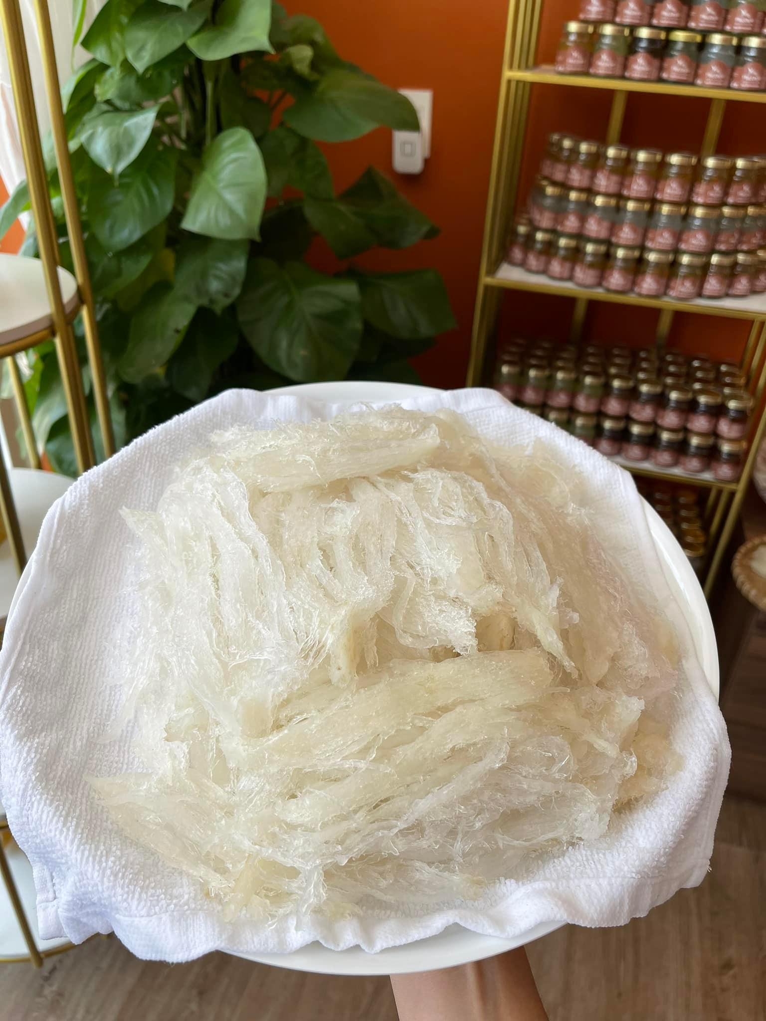 alt="Bảo quản đúng cách để giữ yến luôn tươi, sợi yến trắng trong, tơi đều sau khi làm sạch"