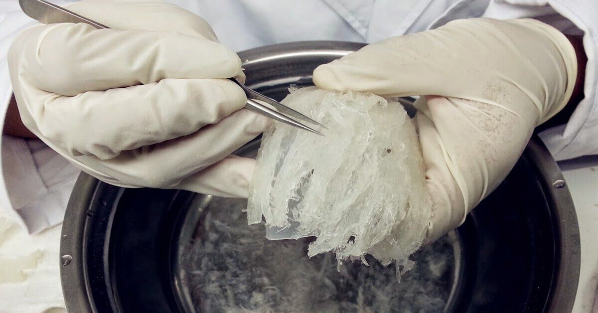 Hướng dẫn chi tiết cách làm sạch lông trong tổ yến thô tại nhà