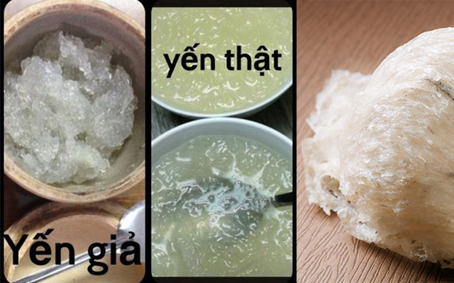 Phân biệt yến thật và yến giả