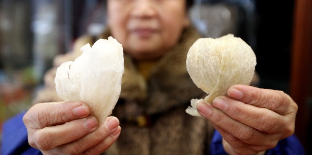 c&aacute;ch ph&acirc;n biệt yến