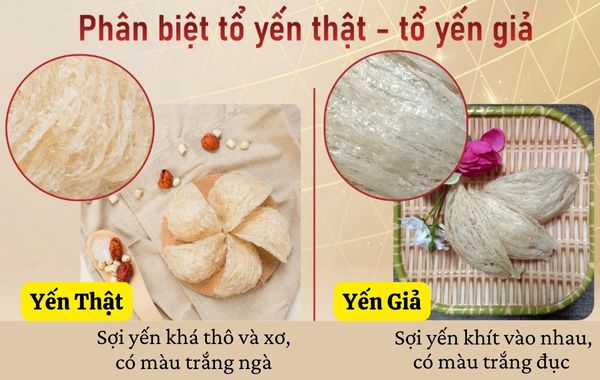 c&aacute;ch ph&acirc;n biệt yến