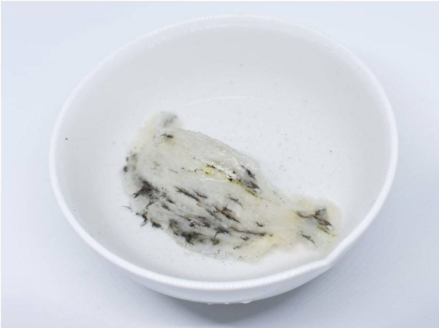 Tư vấn chọn yến thô nguyên chất