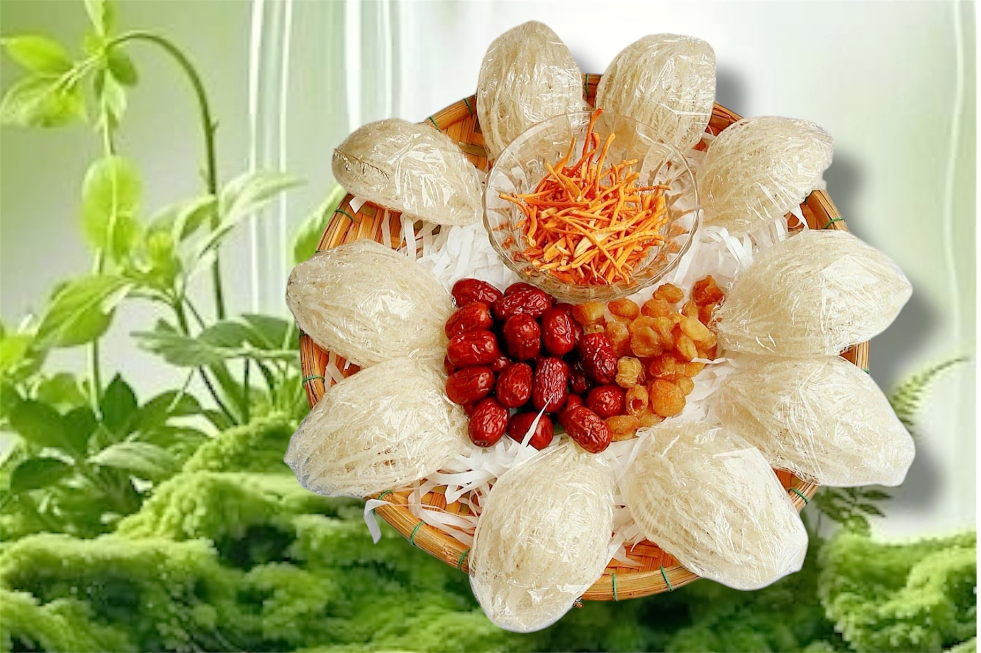 Yến cho người mới ốm dậy và yến phục hồi sức khỏe từ Yến Song Tiên