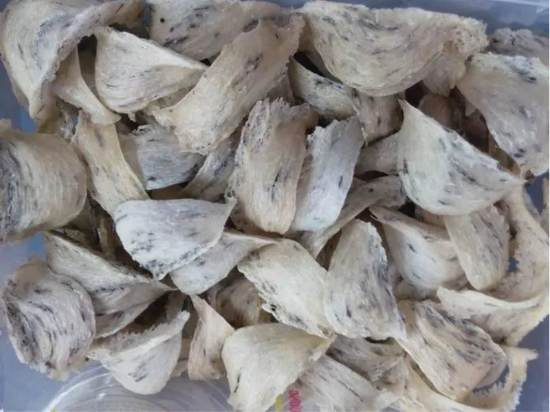 Yến nguyên chất là gì?