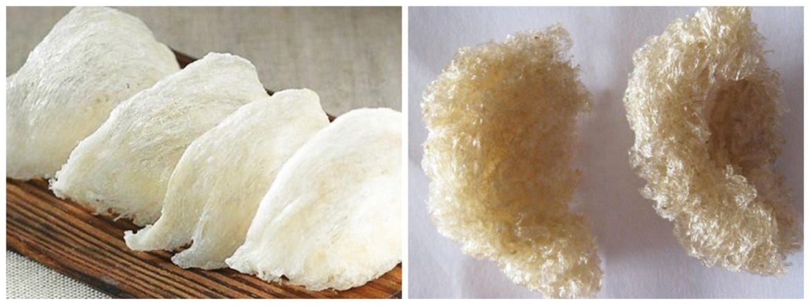 Tổ yến thật và yến giả