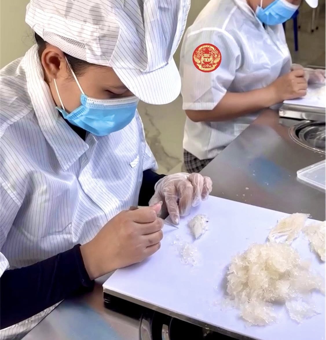 yến nhà, nguồn gốc tổ yến