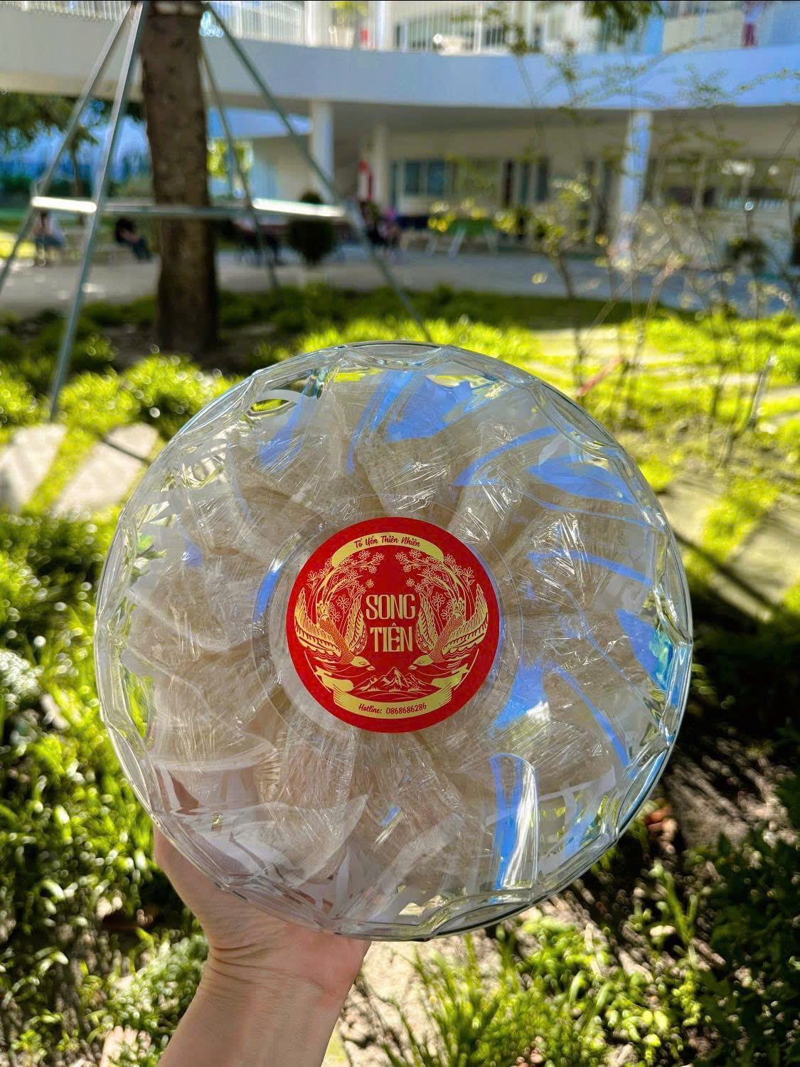 Thư viện