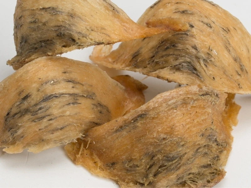 yến để tủ lạnh bị tan hoặc đổi màu