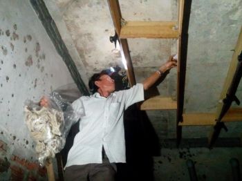 Khám Phá Thiên Nhiên Việt Nam: Kỳ thú loài chim Yến