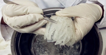 Hướng dẫn cách làm sạch lông trong tổ yến thô cực nhanh giữ nguyên dưỡng chất