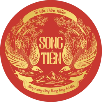 Bí mật nguồn gốc Yến Sào Song Tiên – Cam kết 100% yến thật từ nhà nuôi