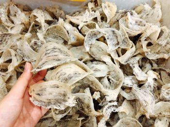 Hiểu đúng về yến nguyên chất