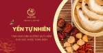 Yến tự nhiên: Tinh hoa dinh dưỡng quý hiếm cho sức khỏe toàn diện
